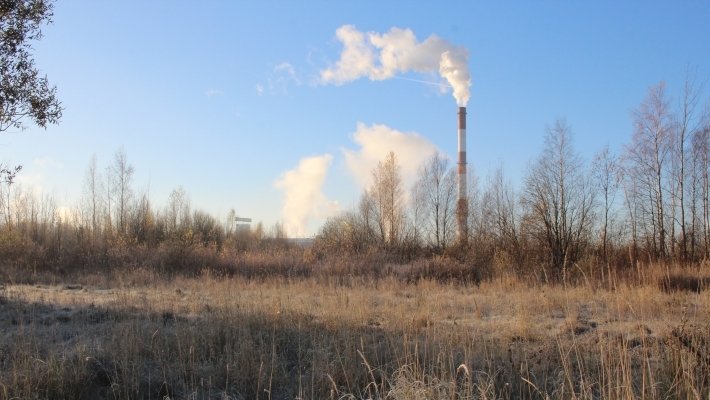 Экологические потери экономики РФ оказались иллюзиями поклонников Греты Тунберг