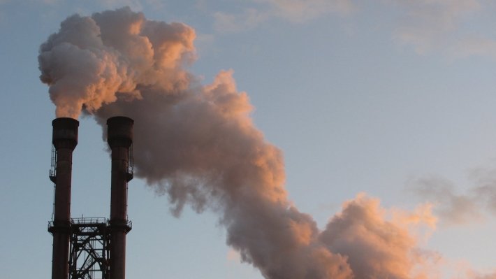 Экологические потери экономики РФ оказались иллюзиями поклонников Греты Тунберг