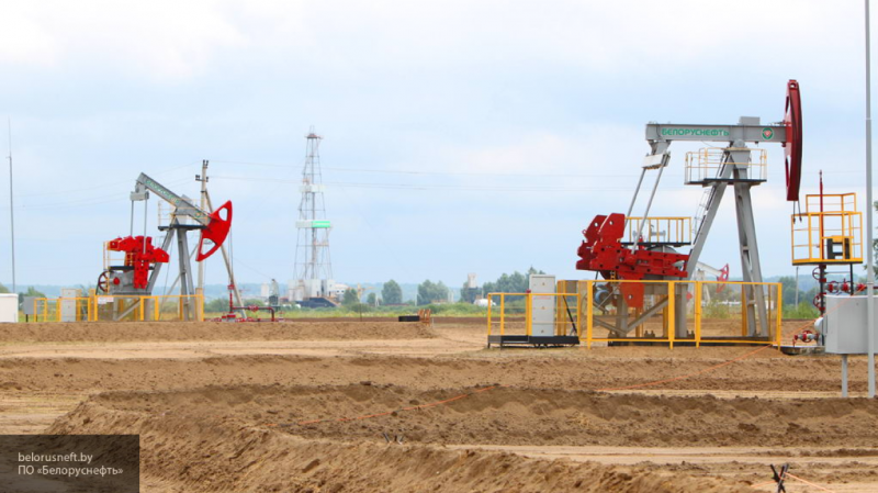 Два новых месторождения нефти открыли в Белоруссии