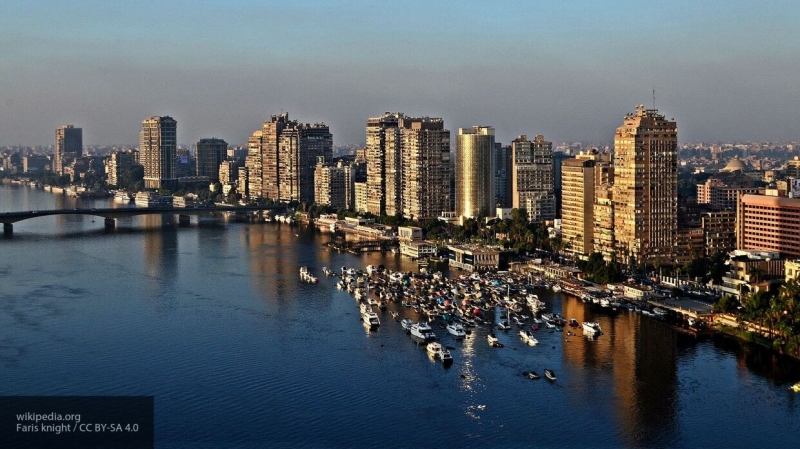 Посол Египта в РФ рассказал о проекте первой атомной электростанции