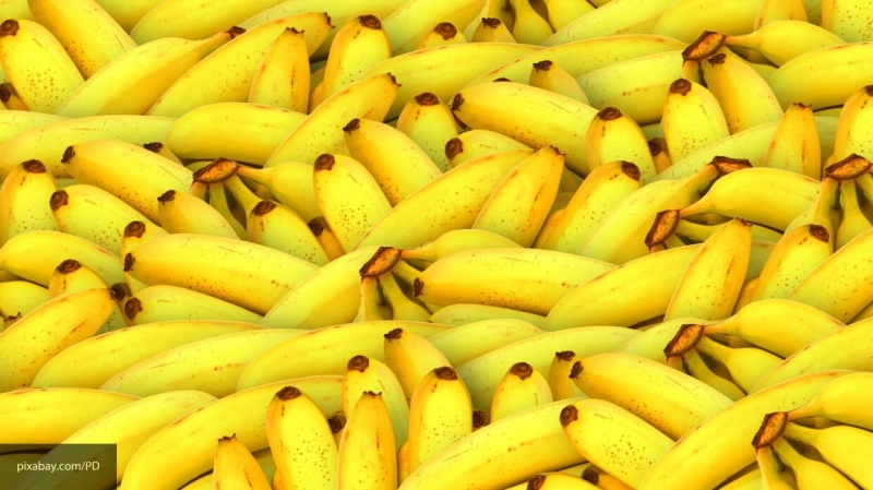 Ученые назвали преимущества использования банановых листьев в создании автомобилей