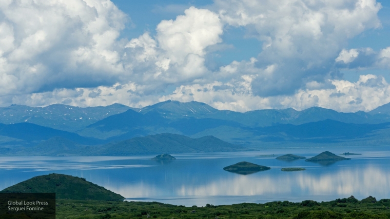 Глава Камчатки назвал наиболее очевидную причину экологического бедствия