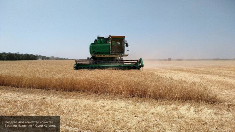 Патрушев озвучил обновленный прогноз по сбору урожая в России