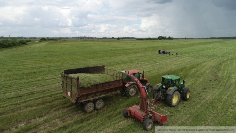 Названы причины снижения производства сельхозпродукции в России
