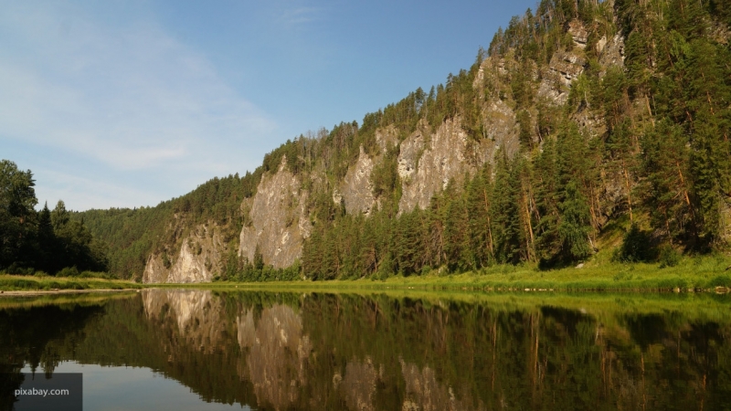 Бюджет России вырос на 10,7 млрд рублей за счет экспорта леса