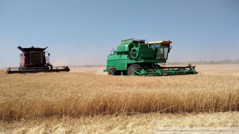 Система агрострахования с господдержкой может появится в России