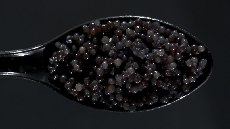 Росрыболовство готовит новые меры для контроля за рынком черной икры