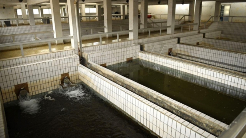 Сирийские инженеры реконструировали более 200 объектов водоснабжения в Алеппо