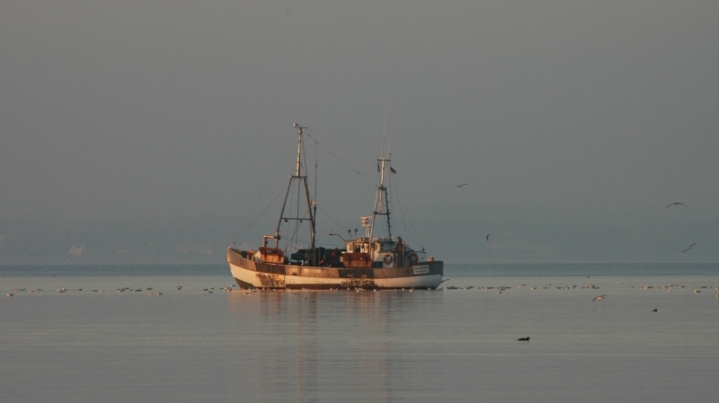 Названы последствия закрытия китайских портов для экономики Сахалина