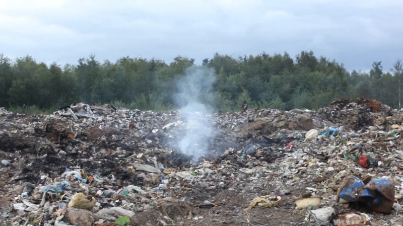 Правительство России утвердило новый план по утилизации отходов в стране