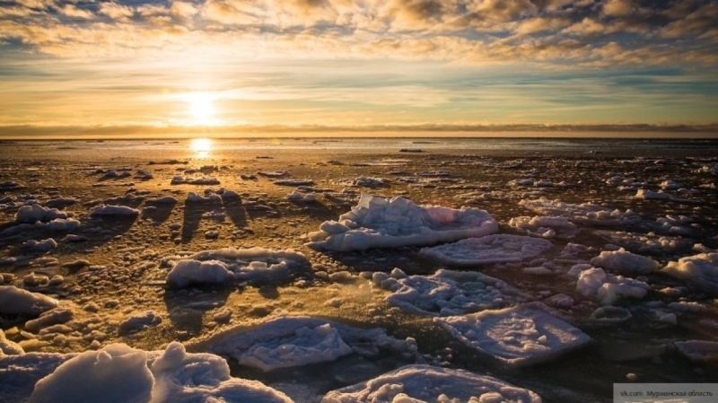 Путин рассказал о планах по освоению Арктики и Северного морского пути