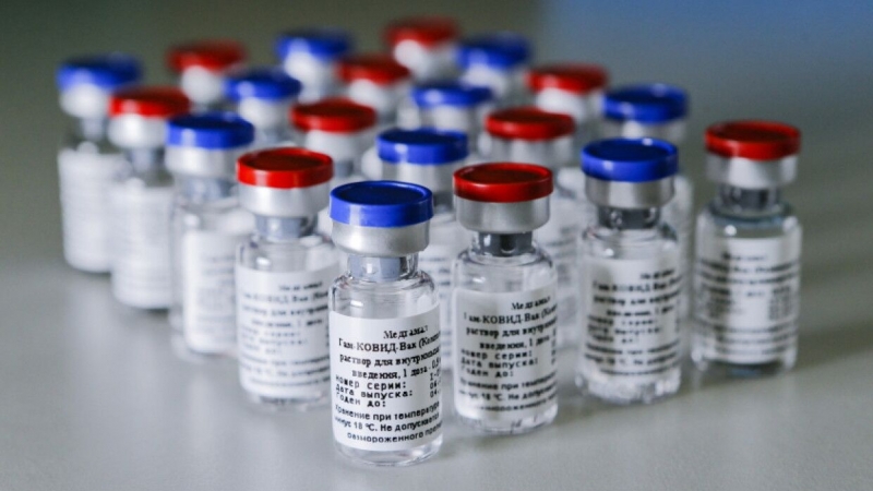 В Турции развернут производство вакцины "Спутник V"