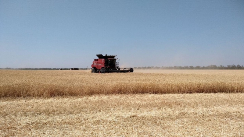 Впервые за 26 лет аграрное производство Украины рухнуло на 11,5%