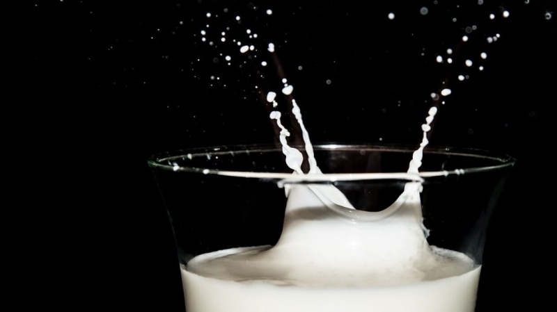 Завод в Архангельской области начал выпуск обогащенного селеном молока