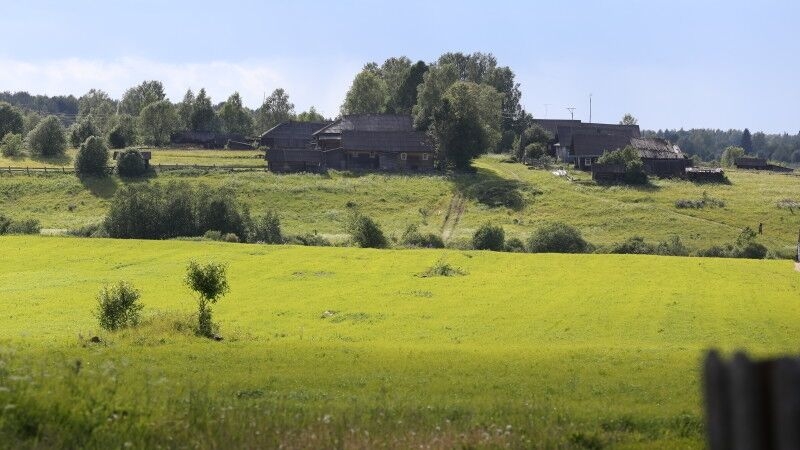 Ученые обнаружили потенциальную угрозу производству продовольствия в мире