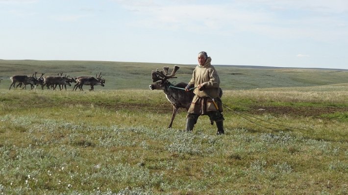 Путин меняет пенсионную систему: возраст выхода, льготы, занятость, кого не затронет реформа