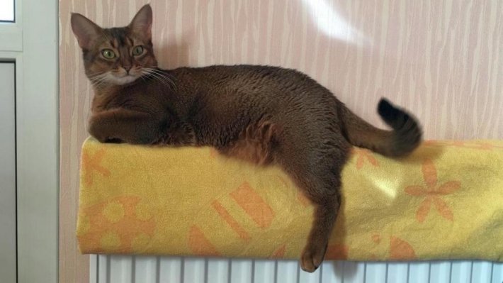 На старте отопительного сезона-2018: как регионы России выполнили работу над ошибками