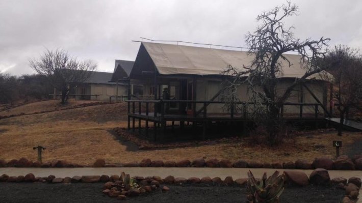 Приключения русского и немца в ЮАР: джаз, БРИКС, экзотика и вино