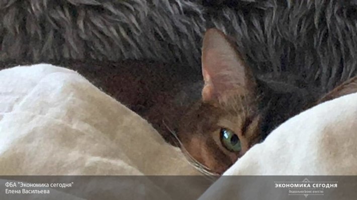 На старте отопительного сезона-2018: как регионы России выполнили работу над ошибками