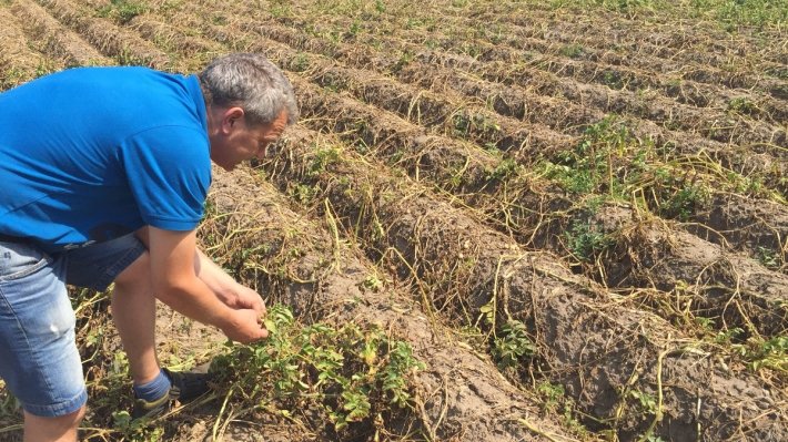 Германия из-за засухи раскроет стратегические запасы нефти