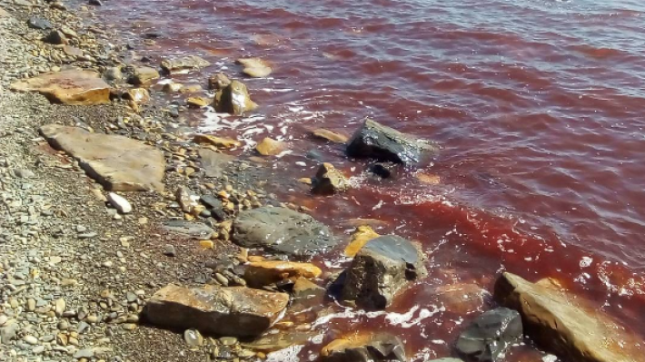 "Кастрюлями не отделаемся": технополис "Эра" придаст новый импульс экономике РФ