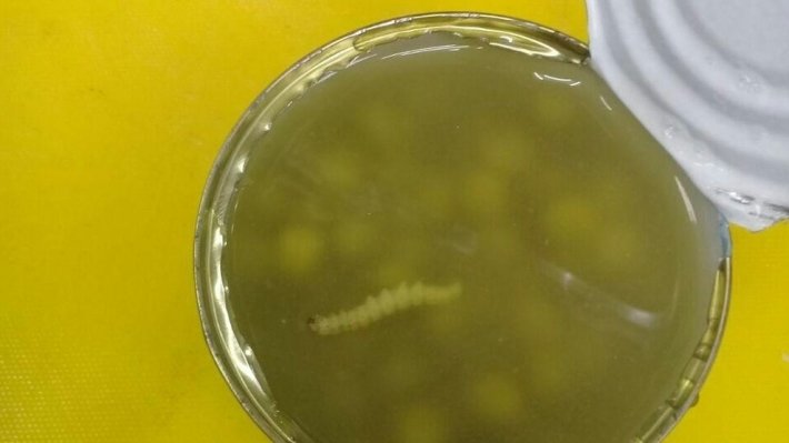 Разоблачение фейкового "расследования" о школьном питании загнало Навального с командой в "глухое молчание"