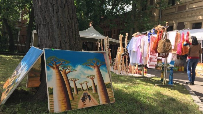 Жители Мадагаскара протестуют против вырубки лесов австралийской компанией