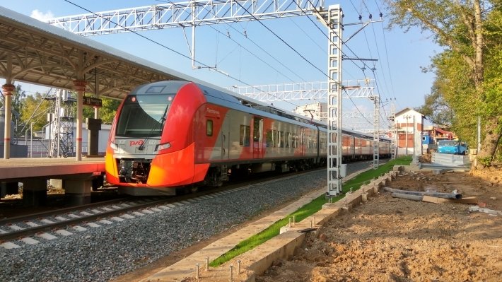 Машинист в Ленобласти остановил поезд ради спасения собаки