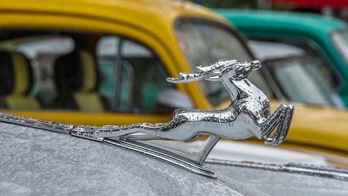 ГАЗ может вернуть на конвейер «Волгу» при поддержке Volkswagen