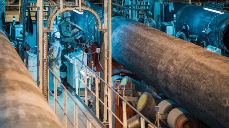 Политолог объяснил причину недовольства ЕС политикой "Газпрома"