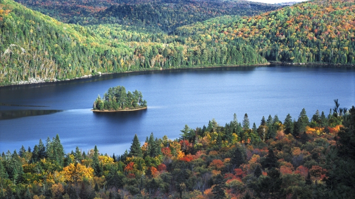 Siemens в Канаде обкатает технологии «зеленого» СПГ для России