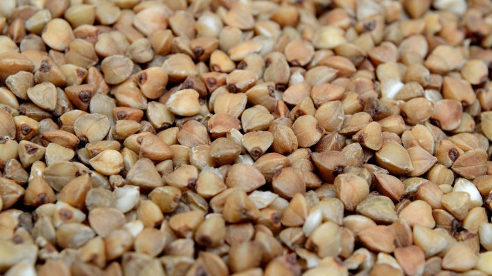 Как изменят жизнь россиян законы, вступающие в силу с июня 2021 года