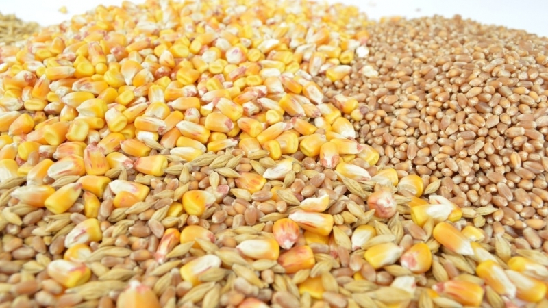 В Россельхознадзоре предлагают регулировать цены "по-американски"