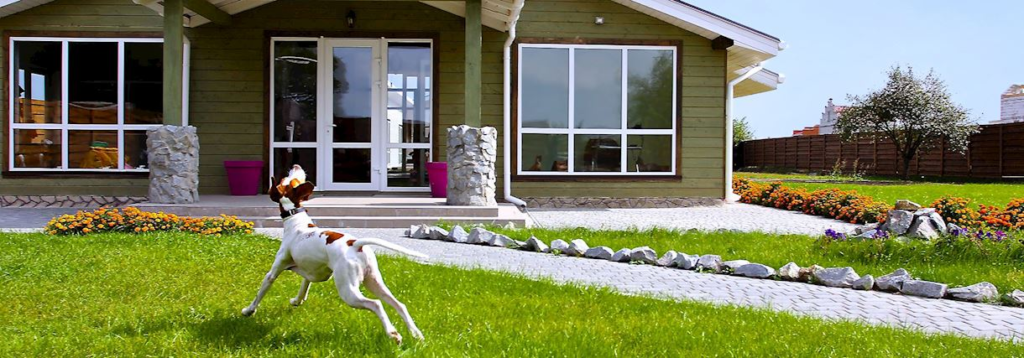 Готель для котів і собак у Полтаві